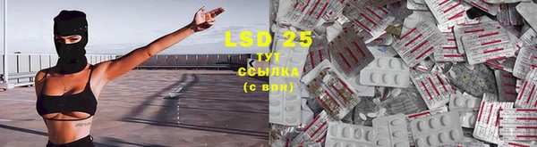 стафф Осинники