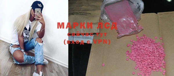 стафф Осинники