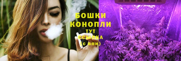 ПСИЛОЦИБИНОВЫЕ ГРИБЫ Остров