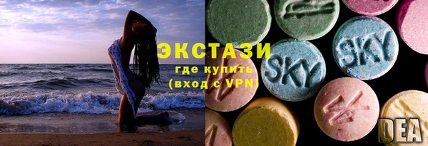 стафф Осинники