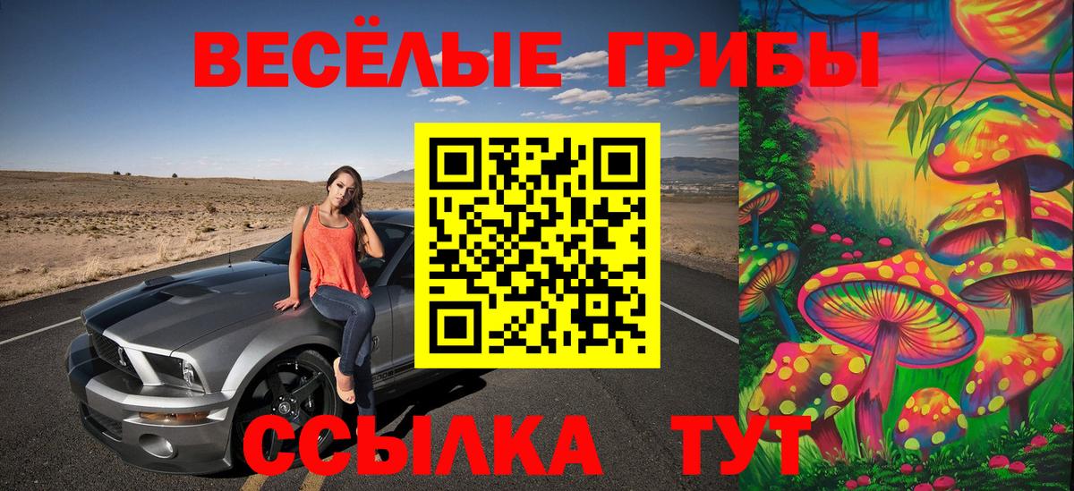Псилоцибиновые грибы Cubensis Приморско-Ахтарск